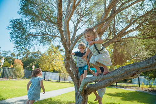 Children playing around a tree outside, with young girl wearing a dress jumping from a branch